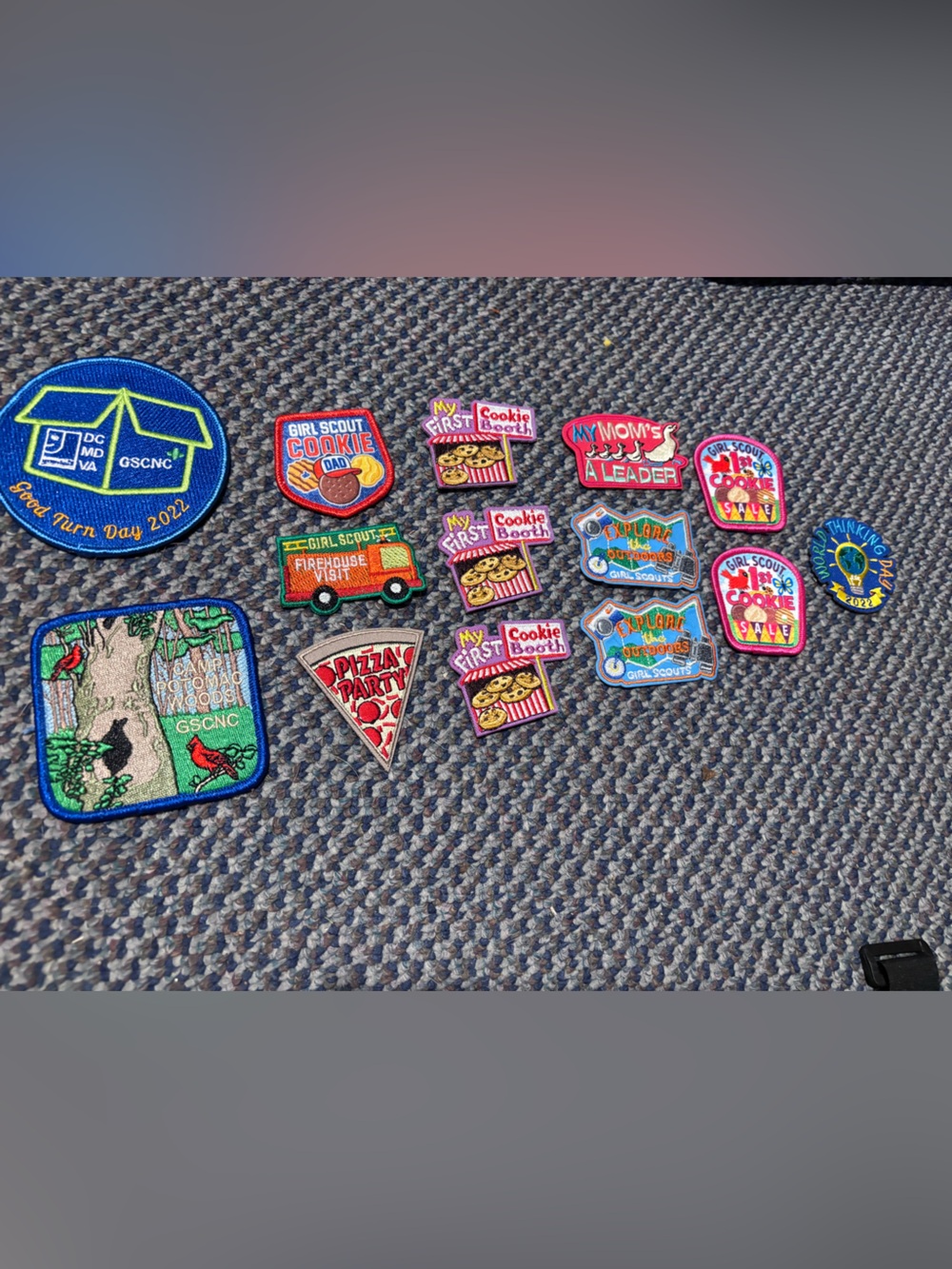 Girl Scout Patch  Lot - Multicolor Cookie & Event Badges (14 total)